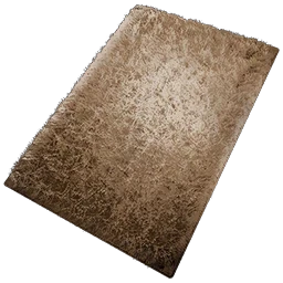 Shag Rug